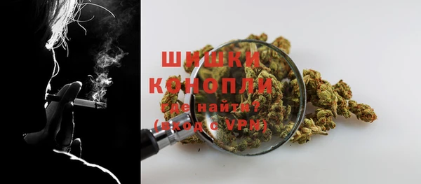 трава Арсеньев