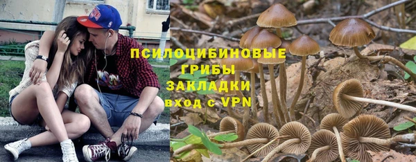 трава Арсеньев