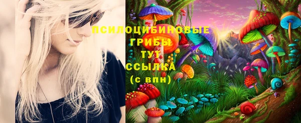 трава Арсеньев