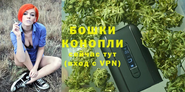трава Арсеньев