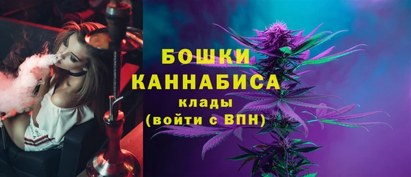 трава Арсеньев