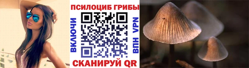 Галлюциногенные грибы прущие грибы Сусуман